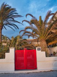 Red and palm trees against blue sky