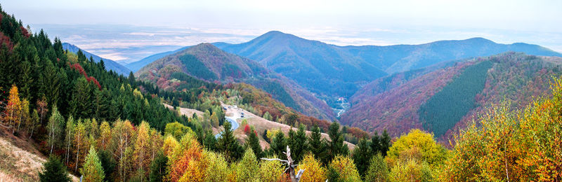 Panoramic view of pine trees and mountains against sky