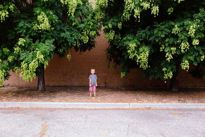 Full length of woman standing on tree trunk