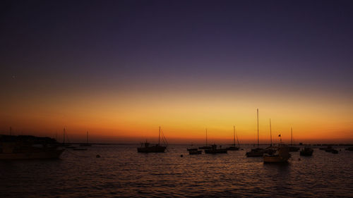 Sailboats moored in marina at sunset