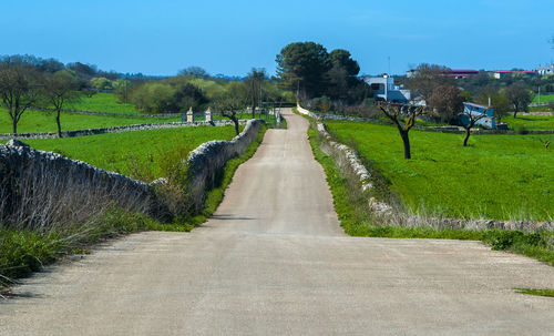 Road amidst trees against clear sky