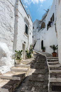 Potted plants on staircase outside building