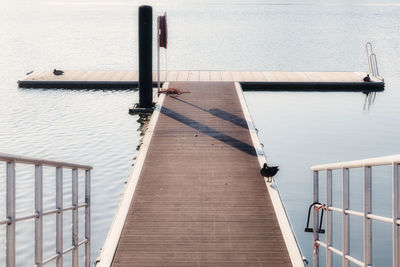 High angle view of pier over sea