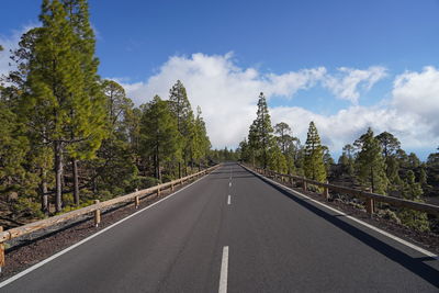 Empty road amidst trees against sky