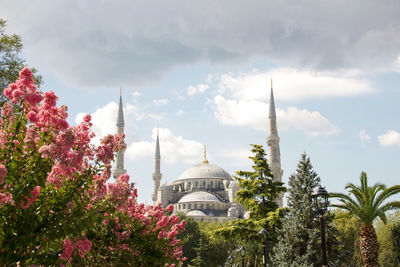 Aghiasofia minarets and flower in istanbul 