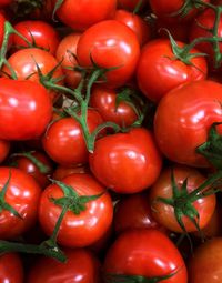 Bunch of red tomatoes on branc. high angle flat lay. 