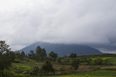 Scenic view of landscape against sky