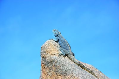 Low angle view of a rock