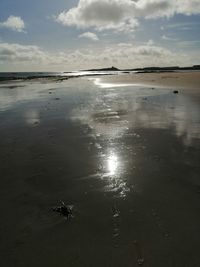 Scenic view of sea against sky