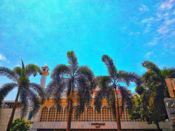 Palm trees against blue sky