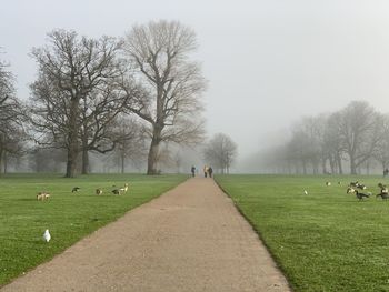 Scenic view of park against sky