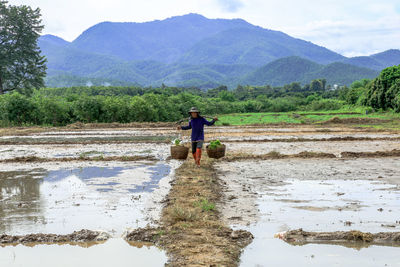 Farmer carrying buckets of crop across field