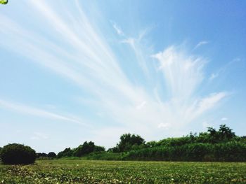 Scenic view of landscape against cloudy sky