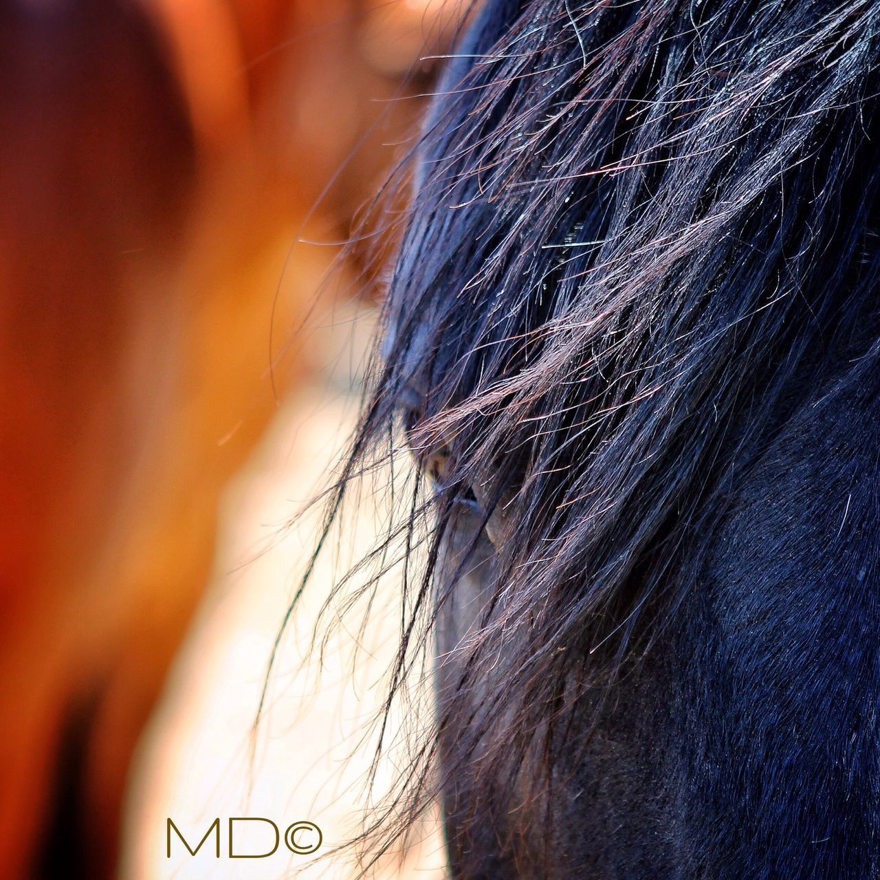 focus on foreground, close-up, part of, selective focus, outdoors, cropped, day, nature, human hair, danger, motion, side view, blurred motion, detail, blurred, person