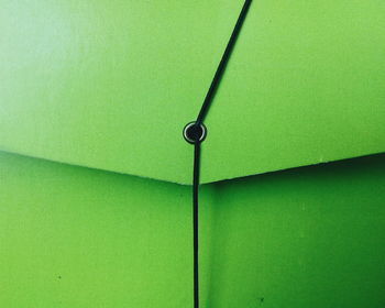 Detail shot of green background