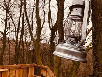 Close-up of electric lamp hanging on tree trunk in forest