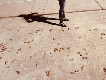 Low section of woman standing by leaves on footpath