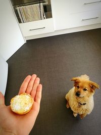 Low section of man holding dog at home