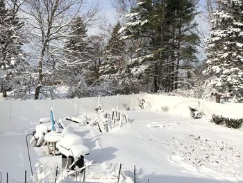 Scenic view of snow covered field against trees