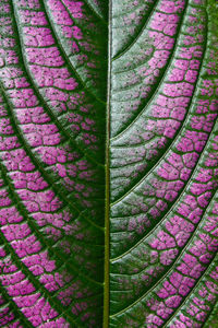 Full frame shot of multi colored pattern