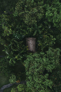 High angle view of potted plants in garden