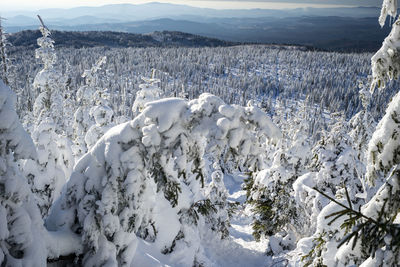 Scenic view of snowcapped mountains