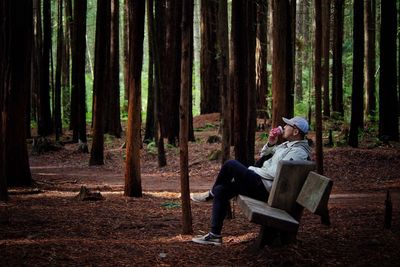 Side view of man having drink while sitting on bench in forest