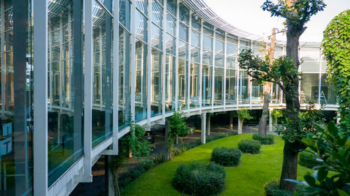 Bridge in garden