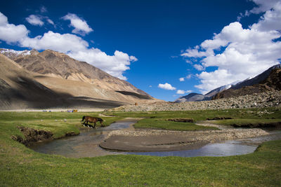 Scenic view of landscape and mountains against sky