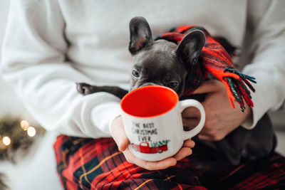 Midsection of woman holding dog