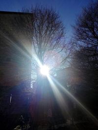 Low angle view of sun shining through trees