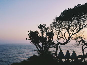 Silhouette tree by sea against clear sky