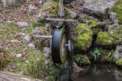 Plants by water pipe