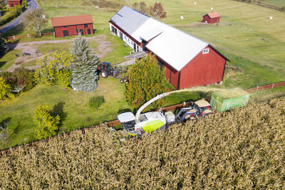 High angle view of harvesting maize field