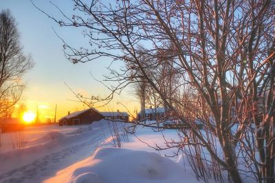 Bare trees on snow covered landscape during sunset