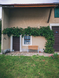 Potted plants on field against building