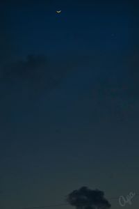 Low angle view of moon in sky at night