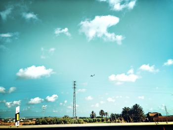 Low angle view of birds flying against sky