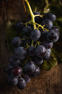 Close-up of grapes growing in vineyard