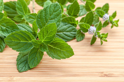 Close-up of mint leaves on table