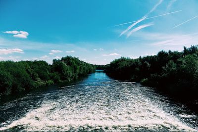 Scenic view of river amidst trees against sky