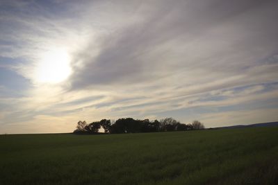 Scenic view of field against sky during sunset