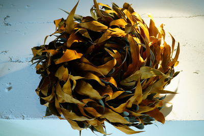 Close-up of yellow flowers against sky