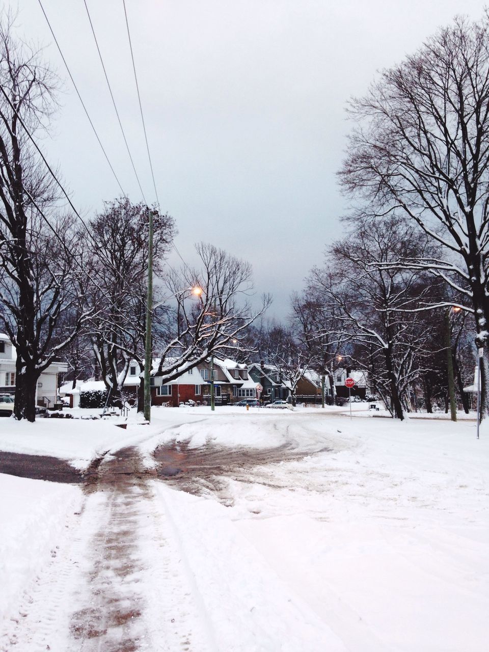 snow, winter, cold temperature, tree, season, bare tree, weather, transportation, the way forward, road, street, covering, car, sky, white color, land vehicle, branch, nature, clear sky, frozen