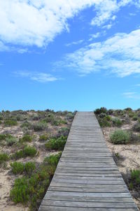 Boardwalk leading towards landscape against blue sky