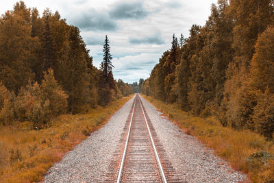 Empty railroad track amidst trees against sky