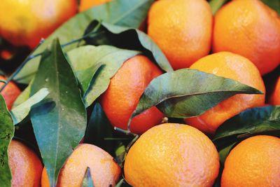 Full frame shot of oranges