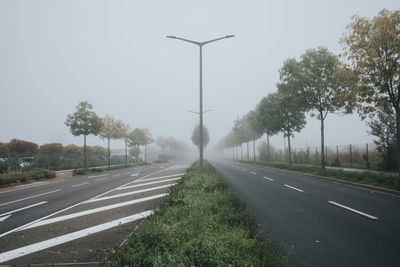 Roadway limit line on a road on a misty autumn morning
