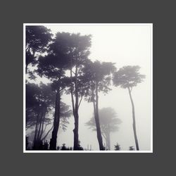 Low angle view of trees against sky