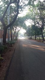 Road amidst trees against sky